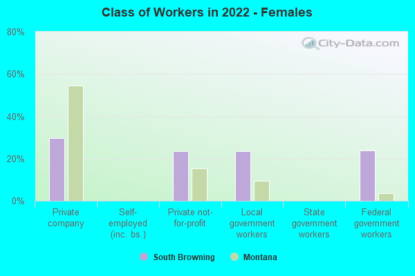 Class of Workers in 2022 - Females