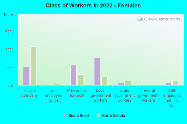 Class of Workers in 2022 - Females