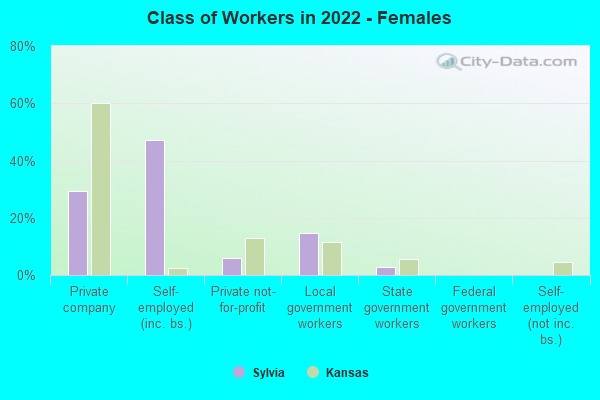 Class of Workers in 2022 - Females