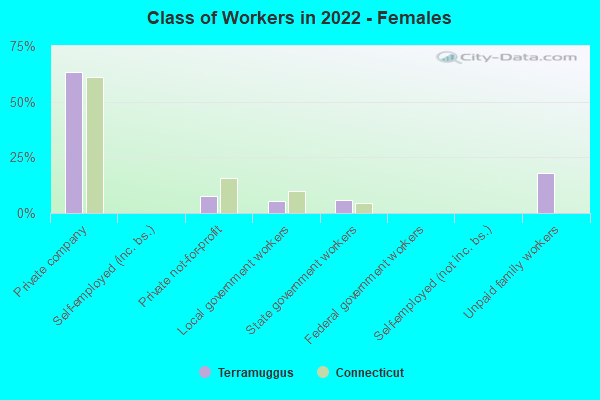 Class of Workers in 2022 - Females