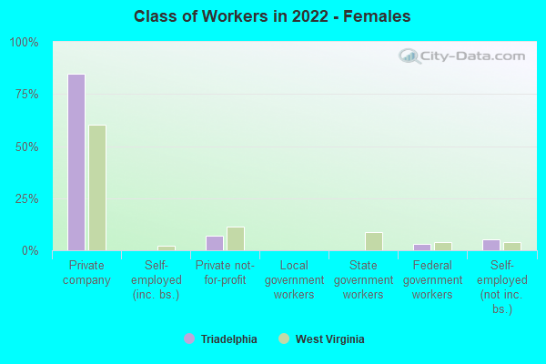 Class of Workers in 2022 - Females