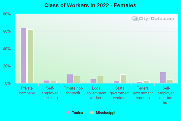 Class of Workers in 2022 - Females