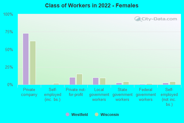 Class of Workers in 2022 - Females