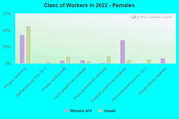 Class of Workers in 2022 - Females