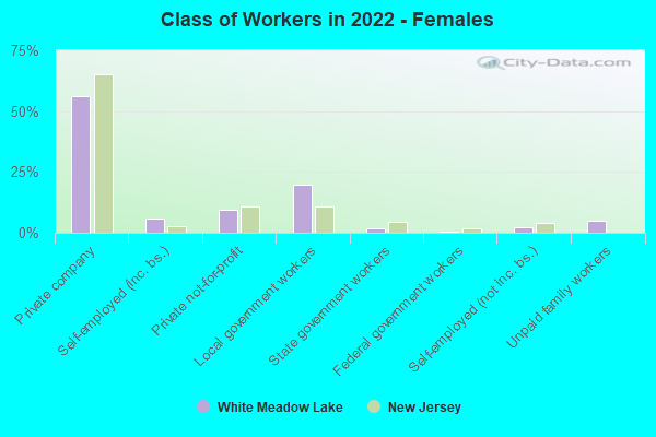 Class of Workers in 2022 - Females