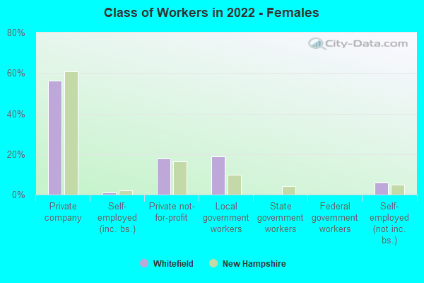 Class of Workers in 2022 - Females