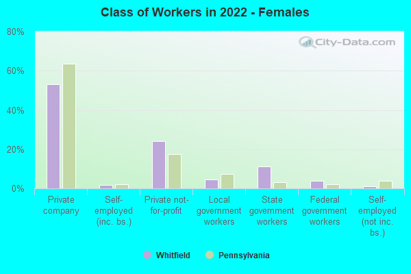 Class of Workers in 2022 - Females