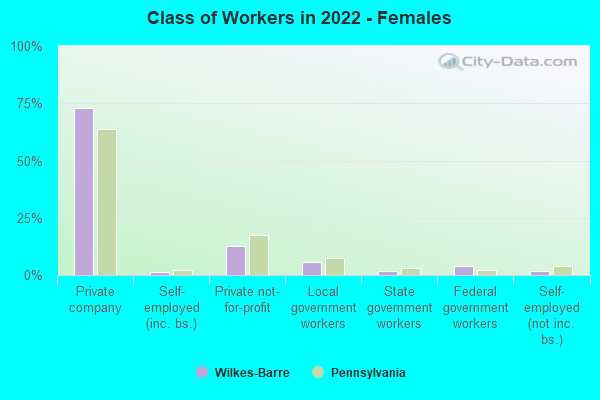 Class of Workers in 2022 - Females