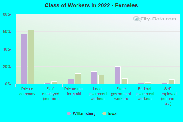 Class of Workers in 2022 - Females