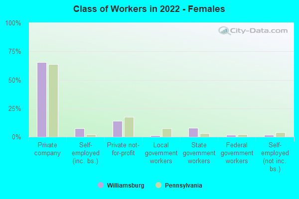 Class of Workers in 2022 - Females