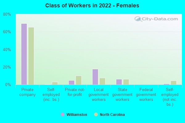 Class of Workers in 2022 - Females