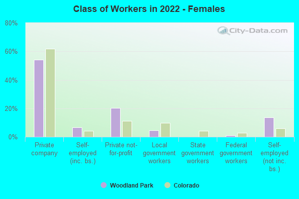 Class of Workers in 2022 - Females