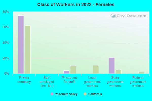 Class of Workers in 2022 - Females