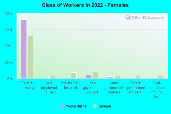 Class of Workers in 2022 - Females