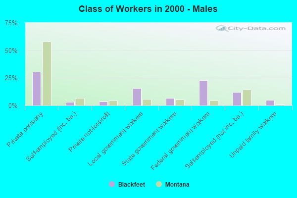 Class of Workers - Males