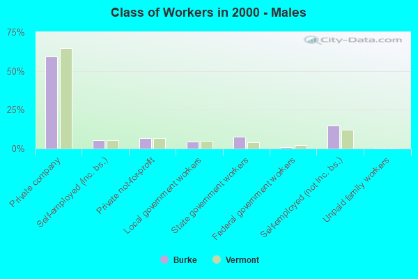 Class of Workers - Males