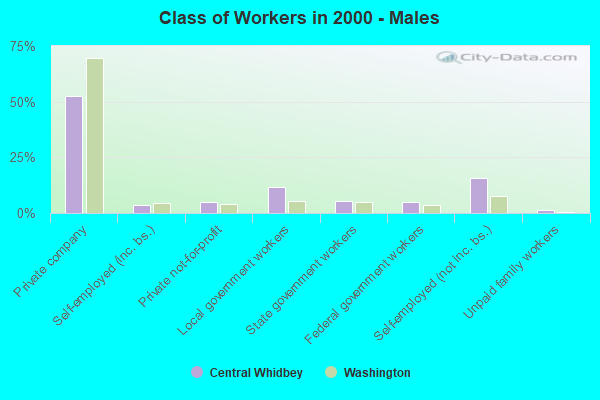 Class of Workers - Males