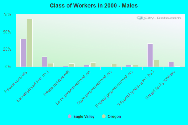 Class of Workers - Males