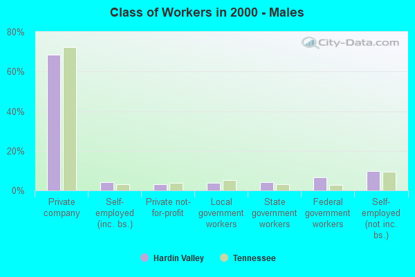 Class of Workers - Males