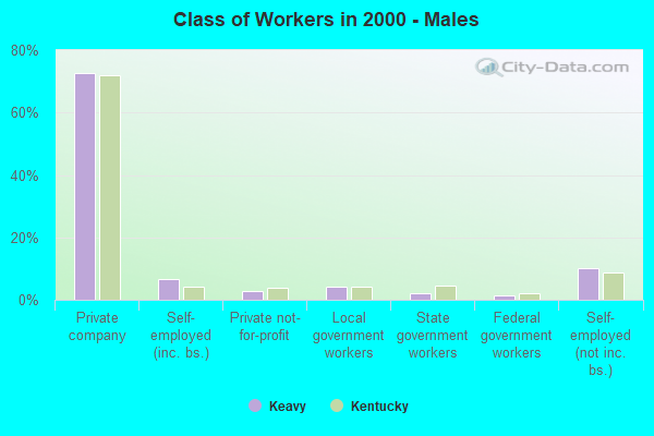 Class of Workers - Males