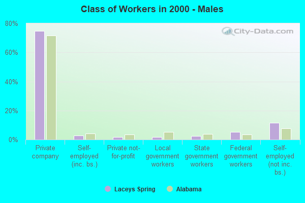 Class of Workers - Males