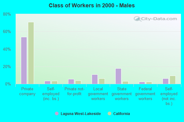 Class of Workers - Males