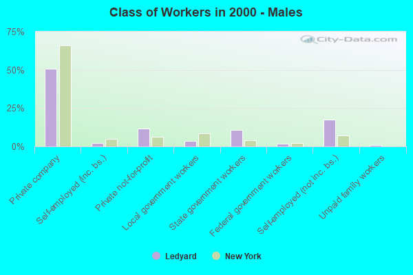 Class of Workers - Males