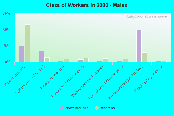 Class of Workers - Males