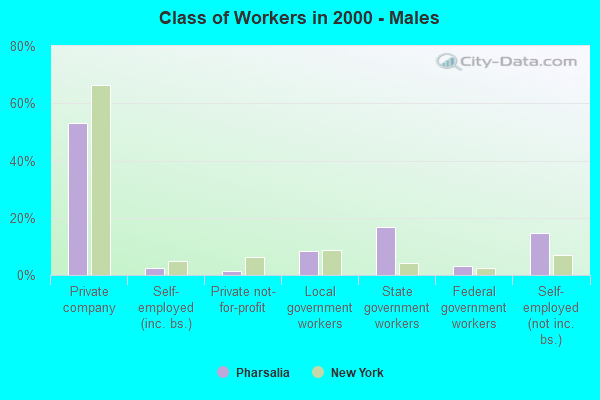 Class of Workers - Males