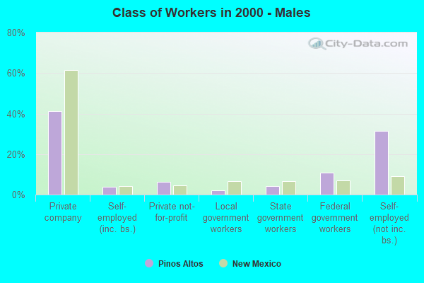 Class of Workers - Males