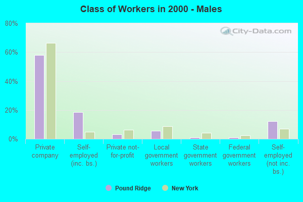 Class of Workers - Males