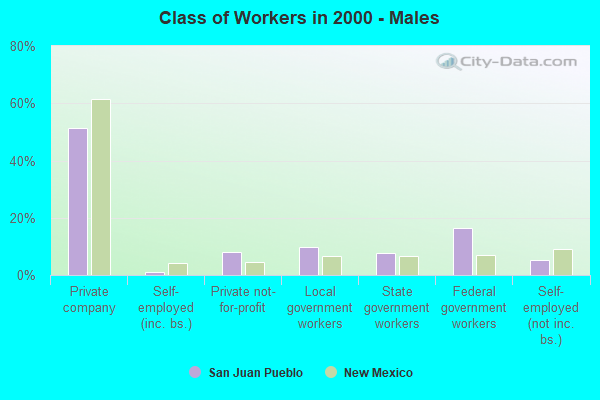 Class of Workers - Males