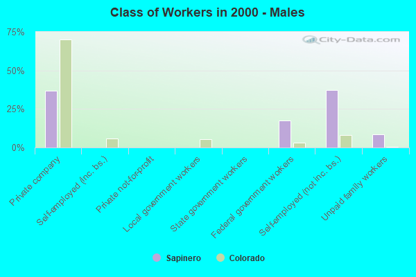 Class of Workers - Males