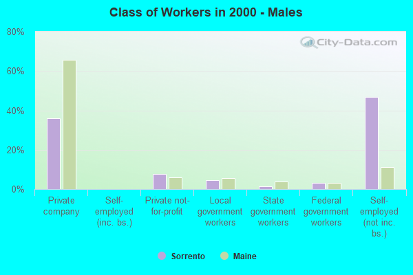 Class of Workers - Males