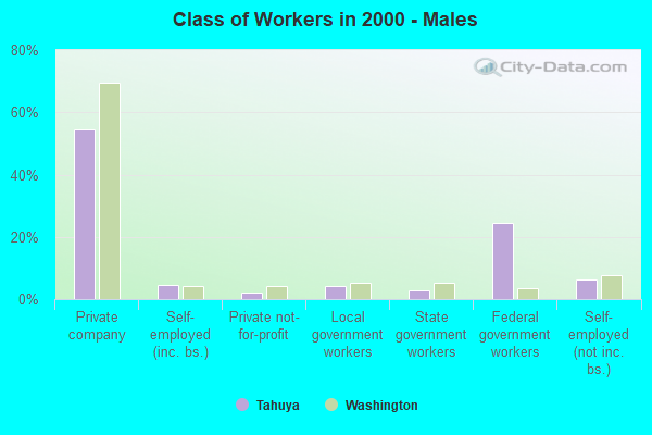 Class of Workers - Males