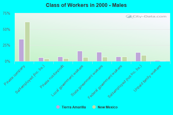 Class of Workers - Males