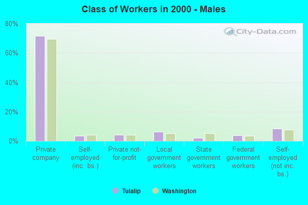 Class of Workers - Males