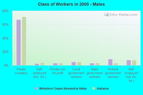 Class of Workers - Males