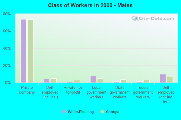 Class of Workers - Males