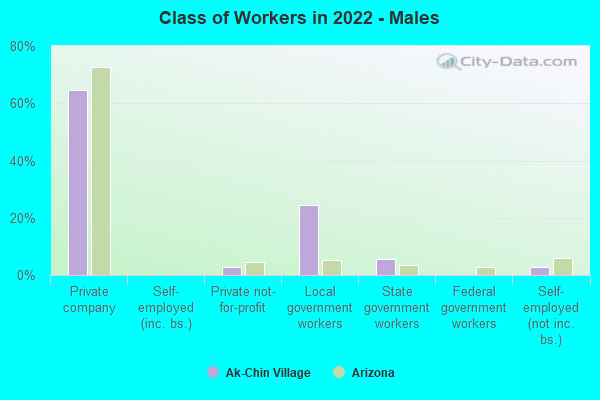 Class of Workers in 2022 - Males