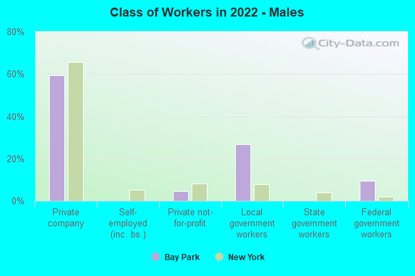 Class of Workers in 2022 - Males