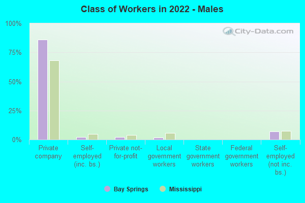 Class of Workers in 2022 - Males