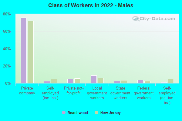 Class of Workers in 2022 - Males