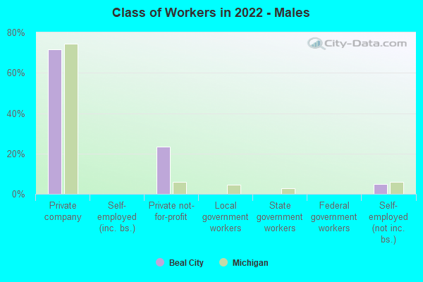 Class of Workers in 2022 - Males