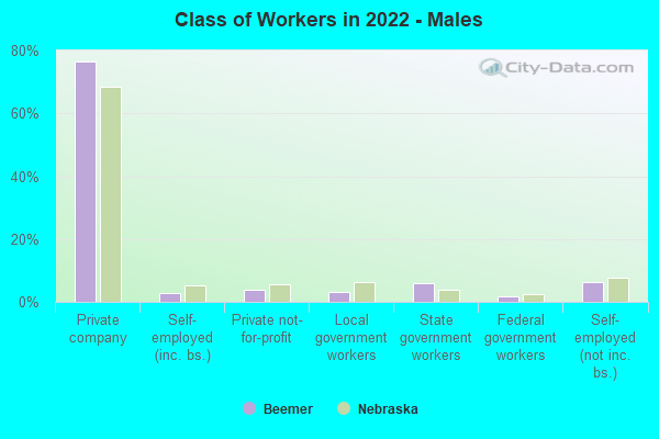 Class of Workers in 2022 - Males