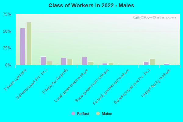 Class of Workers in 2022 - Males