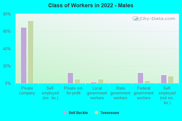 Class of Workers in 2022 - Males