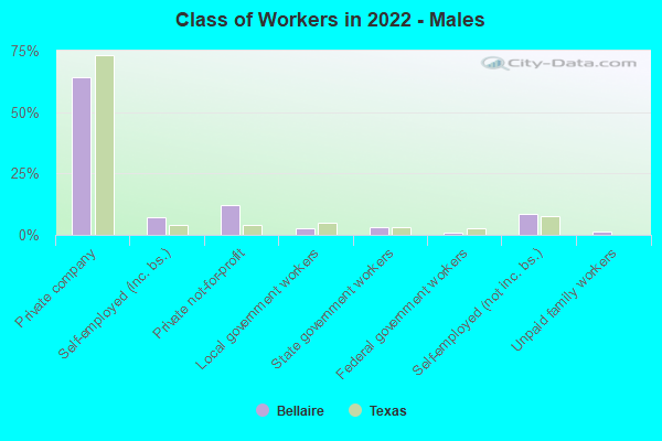 Class of Workers in 2022 - Males