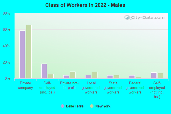 Class of Workers in 2022 - Males