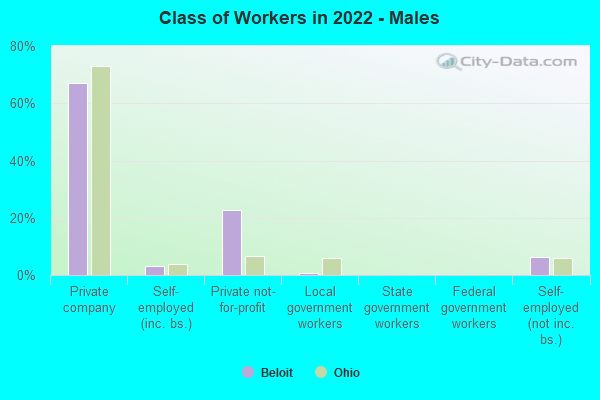 Class of Workers in 2022 - Males